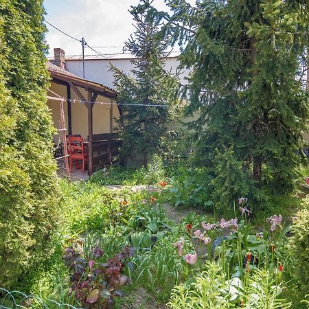 Ferienwohnung Old House Vama Veche Exterior foto