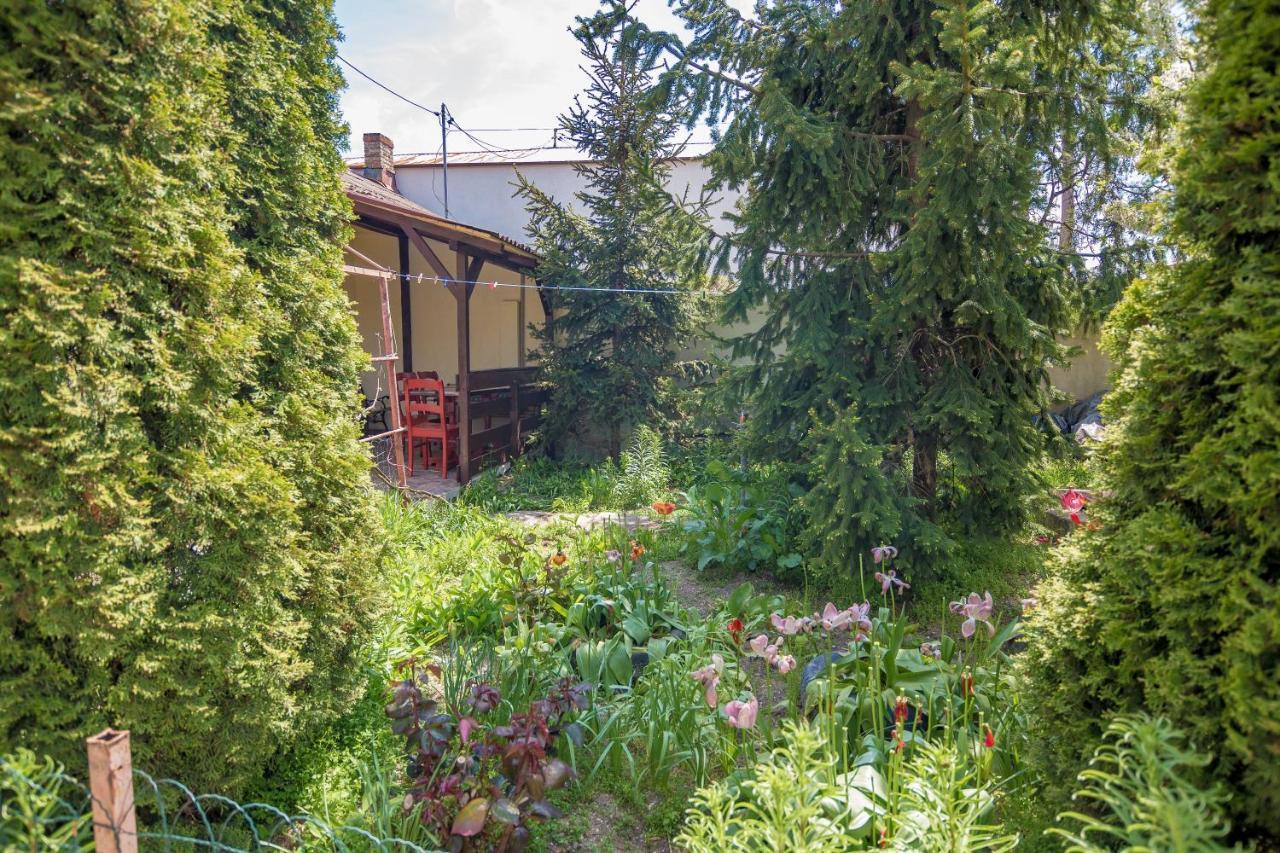 Ferienwohnung Old House Vama Veche Exterior foto